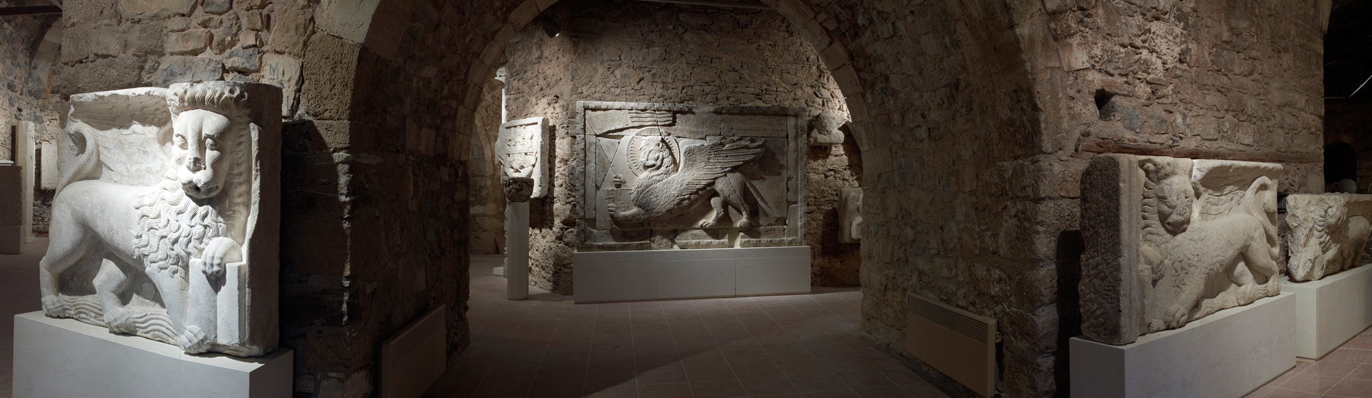 header-image-full-width